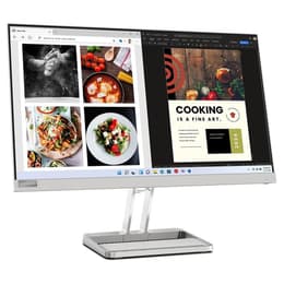 Écran 21" LED Lenovo L24I-40