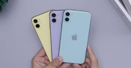 couleur iphone 11
